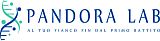 PANDORA LAB - PESCARA