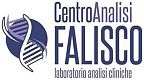 CENTRO ANALISI FALISCO - FABRICA DI ROMA 