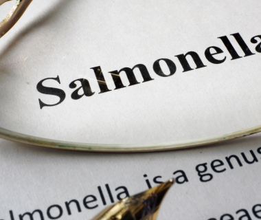 Salmonella: tutti i sintomi